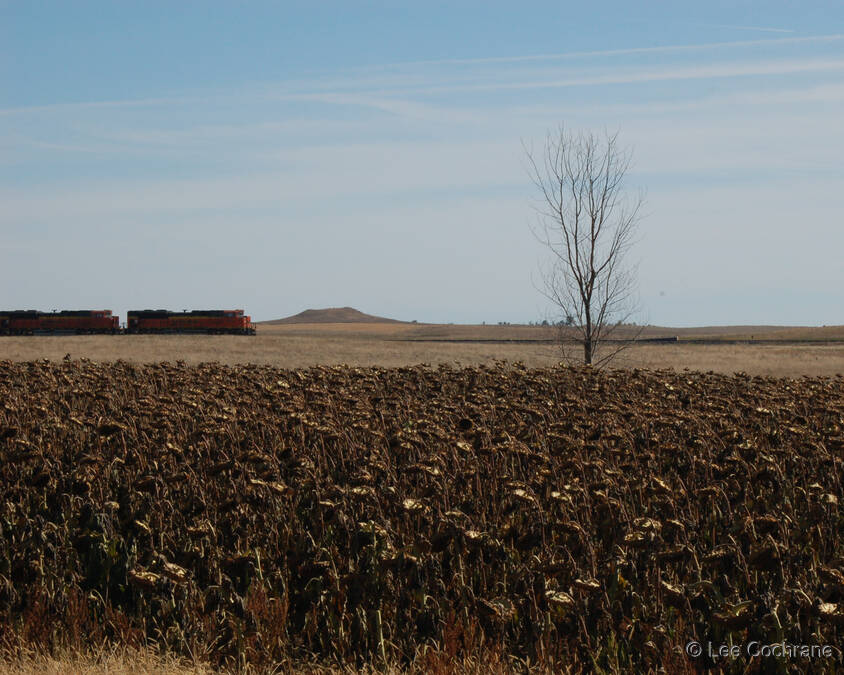 photo of AutumnInNorthDakota