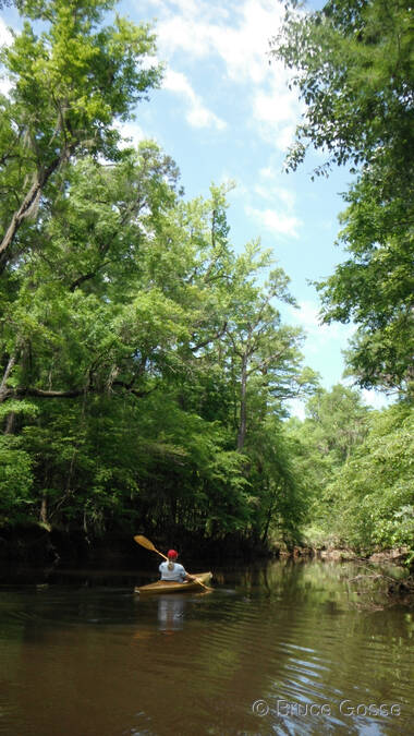 photo of CongareeCruising