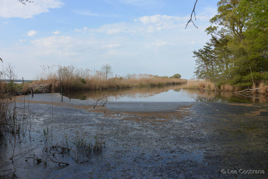 photo of JonesPondPanorama