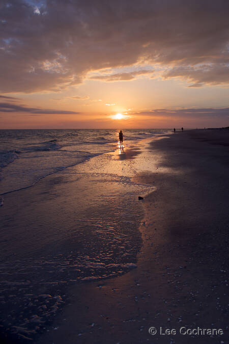 photo of SanibelSunsetSilhouette