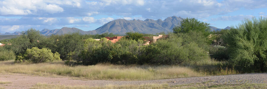 photo of TubacArizona