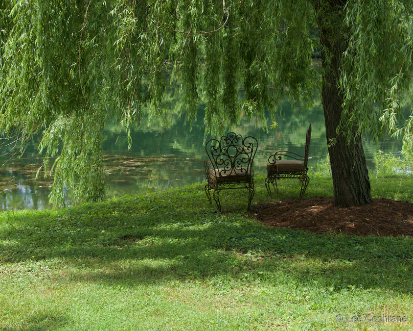 photo of UnderTheWeepingWillowTree