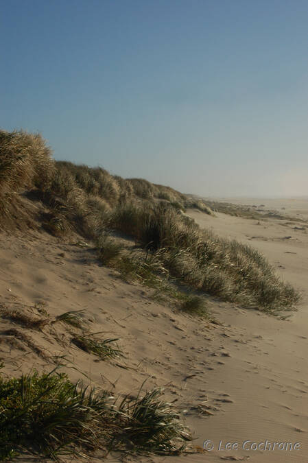 photo of OregonDunes